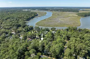 66 Dulamo Bluff, Saint Helena Island, SC 29920 - Photo 59