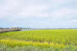 1642 Old Shell Rd, Port Royal, SC 29935 - Photo 43