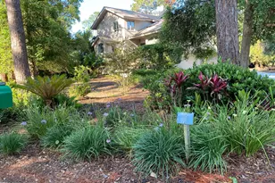 19 Audubon Pond Rd, Hilton Head Island, SC 29928 - Photo 83