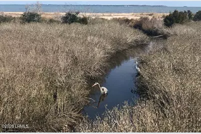 27 Mangrove Street, Hilton Head, SC 29926 - Photo 29