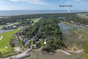 470 Porpoise Dr, Fripp Island, SC 29920 - Photo 61