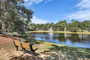 34 White Heron Dr, Beaufort, SC 29907 - Photo 55