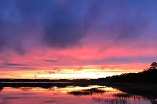 16 McCalley Creek Ln, Seabrook, SC 29940 - Photo 31