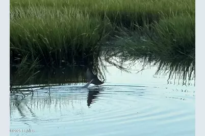 16 McCalley Creek Lane, Seabrook, SC 29940 - Photo 33