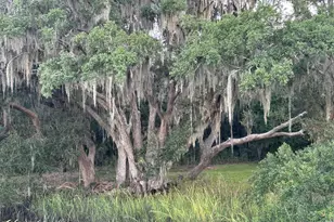 16 McCalley Creek Ln, Seabrook, SC 29940 - Photo 39