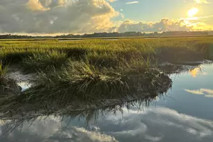 16 McCalley Creek Ln, Seabrook, SC 29940 - Photo 19