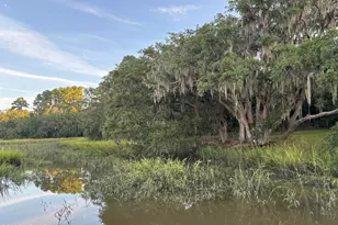16 McCalley Creek Ln, Seabrook, SC 29940 - Photo 29