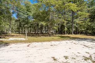 469 Evangelist Dr, Early Branch, SC 29916 - Photo 5