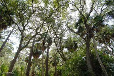 410 Skimmer Cove, Saint Helena Island, SC 29920 - Photo 21