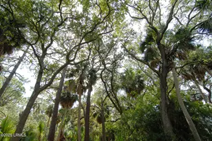 410 Skimmer Cove, Saint Helena Island, SC 29920 - Photo 21