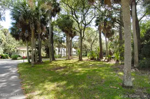 410 Skimmer Cove, Saint Helena Island, SC 29920 - Photo 19