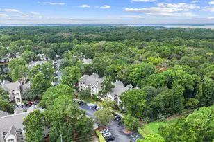 380 Marshland Rd, Hilton Head Island, SC 29926 - Photo 43