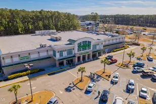 113 Gun Powder Ct, Hardeeville, SC 29936 - Photo 59