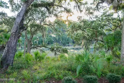 4 Mayon Point, Okatie, SC 29909 - Photo 63