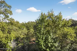 155 Dillon Rd, Hilton Head Island, SC 29926 - Photo 11