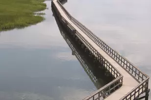 2215 National St, Beaufort, SC 29902 - Photo 53