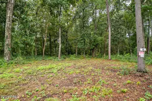 44 Presnell Cir, Beaufort, SC 29906 - Photo 1