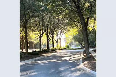 112 Spring Meadow Drive, Bluffton, SC 29910 - Photo 53