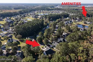 112 Spring Meadow Dr, Bluffton, SC 29910 - Photo 51