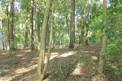 25 Meridian Road, Beaufort, SC 29907 - Photo 3