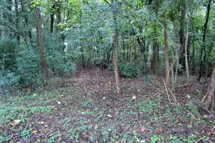 25 Meridian Rd, Beaufort, SC 29907 - Photo 1