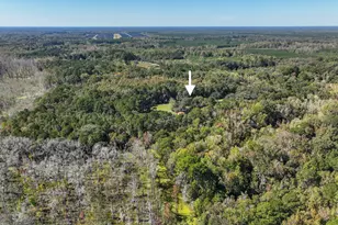 262 Wimbee Landing Rd, Seabrook, SC 29940 - Photo 3