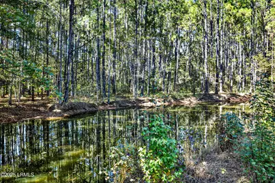 73 School Cut Road, Hardeeville, SC 29927 - Photo 9