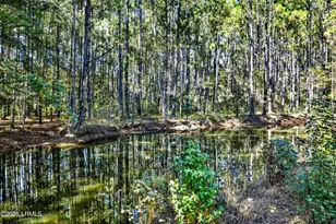 73 School Cut Rd, Hardeeville, SC 29927 - Photo 9