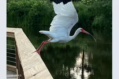 1503 Paris Avenue, Port Royal, SC 29935 - Photo 83