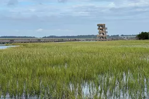 1503 Paris Ave, Port Royal, SC 29935 - Photo 77