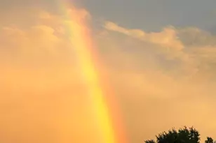 1503 Paris Ave, Port Royal, SC 29935 - Photo 81