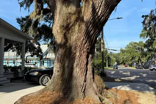 1503 Paris Ave, Port Royal, SC 29935 - Photo 11