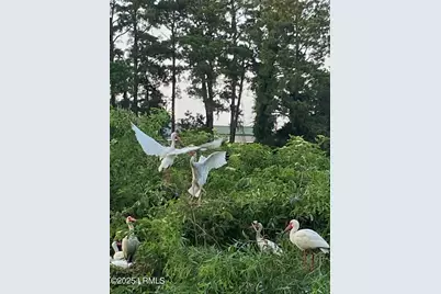 1503 Paris Avenue, Port Royal, SC 29935 - Photo 85