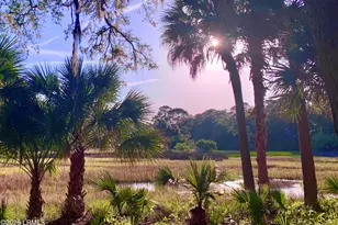 129 Avenue of Oaks, Daufuskie Island, SC 29915 - Photo 17