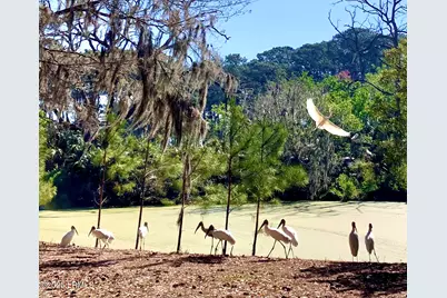 129 Ave Of Oaks, Daufuskie Island, SC 29915 - Photo 23