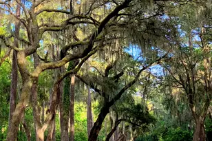 129 Avenue of Oaks, Daufuskie Island, SC 29915 - Photo 21
