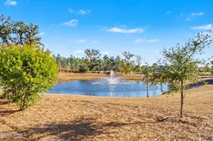 432 Hulston Landing Rd, Okatie, SC 29909 - Photo 49