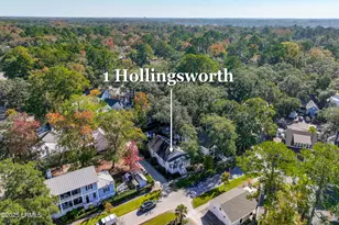 1 Hollingsworth Run, Beaufort, SC 29906 - Photo 51