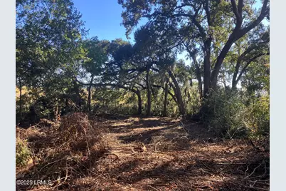 481 Paige Point Bluff, Seabrook, SC 29940 - Photo 3