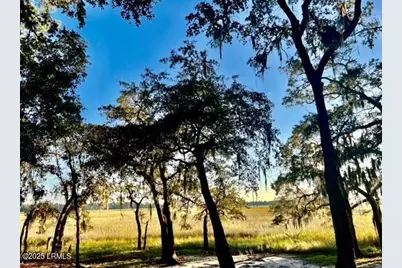 481 Paige Point Bluff, Seabrook, SC 29940 - Photo 9