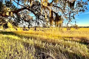 481 Paige Point Bluff, Seabrook, SC 29940 - Photo 1