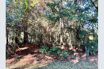 5 Shade Tree Lane, Lady's Island, SC 29907 - Photo 1