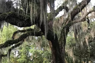 23 Mum Grace, Beaufort, SC 29906 - Photo 71