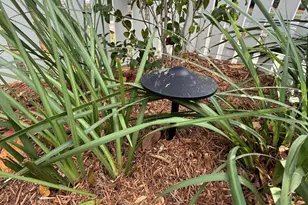 23 Mum Grace, Beaufort, SC 29906 - Photo 93