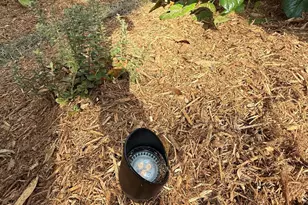 23 Mum Grace, Beaufort, SC 29906 - Photo 91