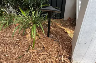 23 Mum Grace, Beaufort, SC 29906 - Photo 93