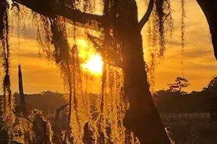 19 Brisbane Dr, Beaufort, SC 29902 - Photo 51