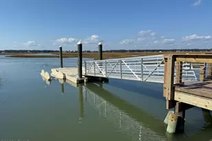 6 Harborview Cir, Beaufort, SC 29907 - Photo 59