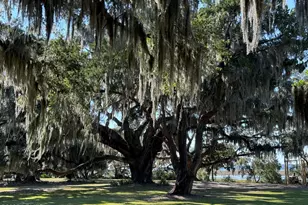 6 Harborview Cir, Beaufort, SC 29907 - Photo 63