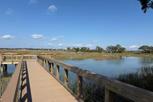 6 Harborview Cir, Beaufort, SC 29907 - Photo 61